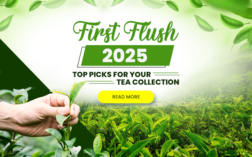 First Flush 2024 Favorites: Top Picks for Your Tea Collection