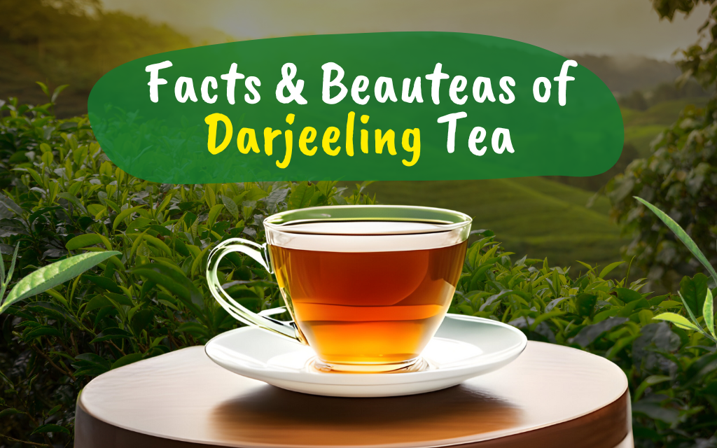 Quick Facts About Darjeeling First Flush Tea