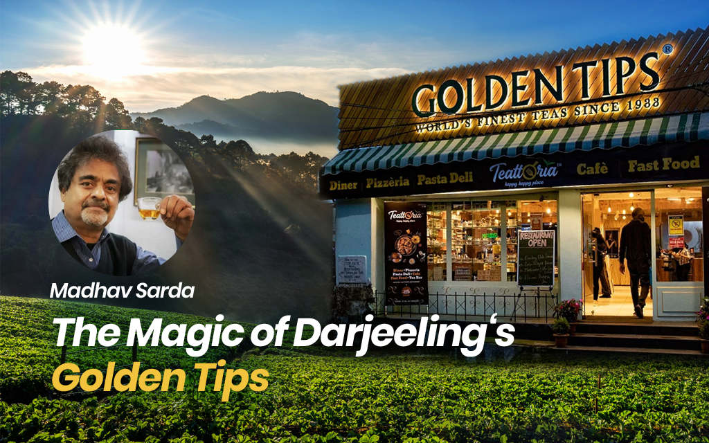 Darjeeling Tea Shops  Golden Tips Tea (India)