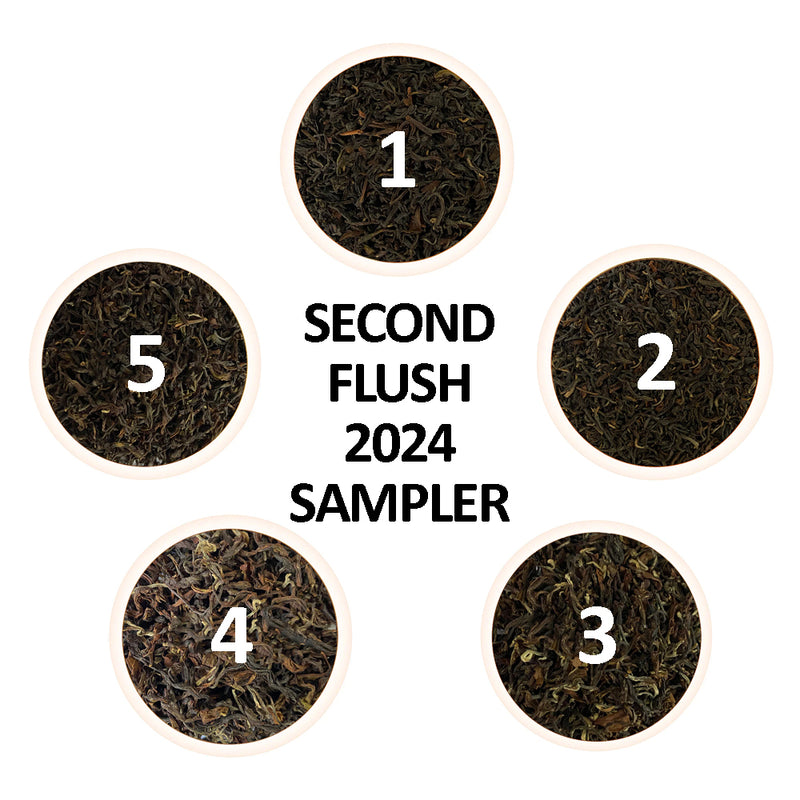 Darjeeling Second Flush Black Tea Sampler Pack 2024