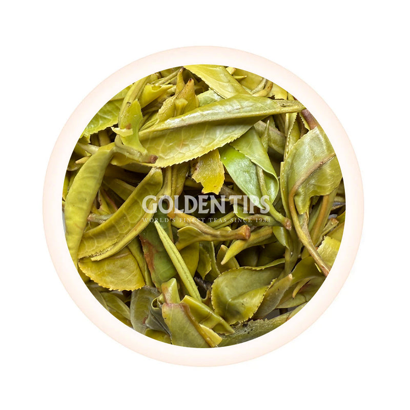 Spring Pearl Organic Darjeeling White Tea First Flush 2025