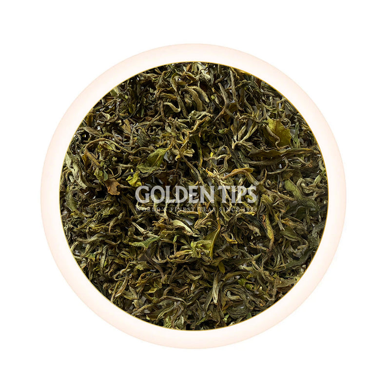 Spring Gaiety Darjeeling Black Tea First Flush 2025