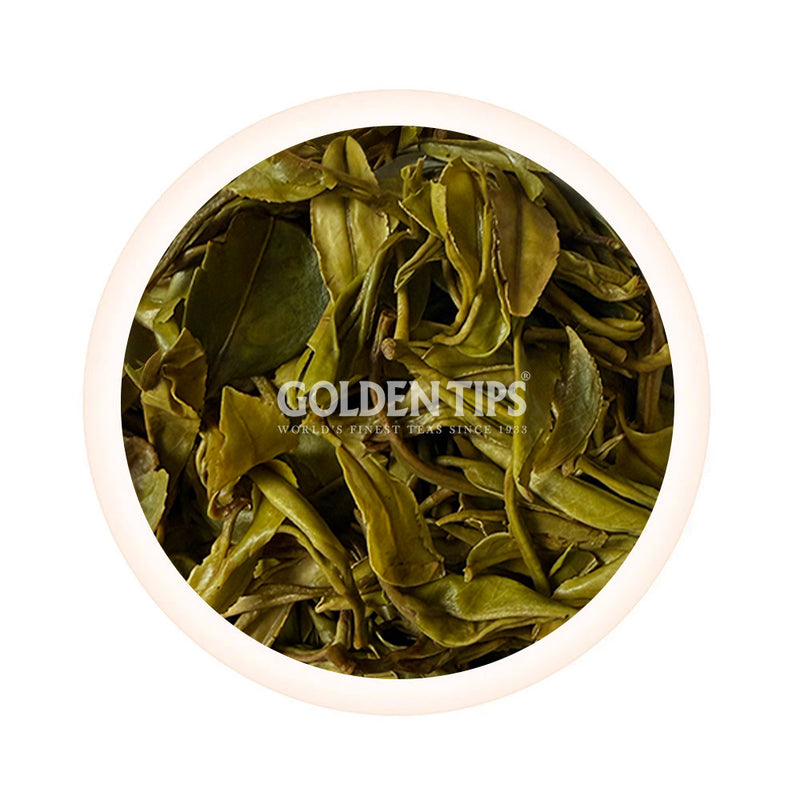 Spring Gaiety Darjeeling Black Tea First Flush 2025