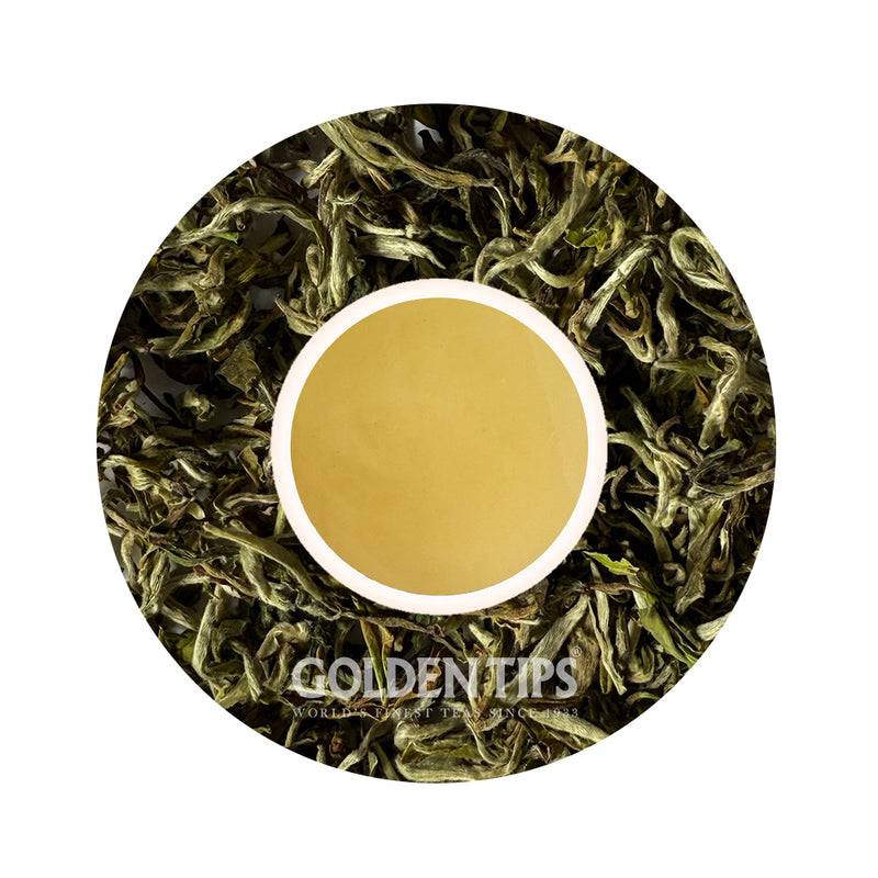 Spring Magnificence Star - Darjeeling Tea First Flush 2025 -  Gift Box  - Tin Can in Velvet Box  -