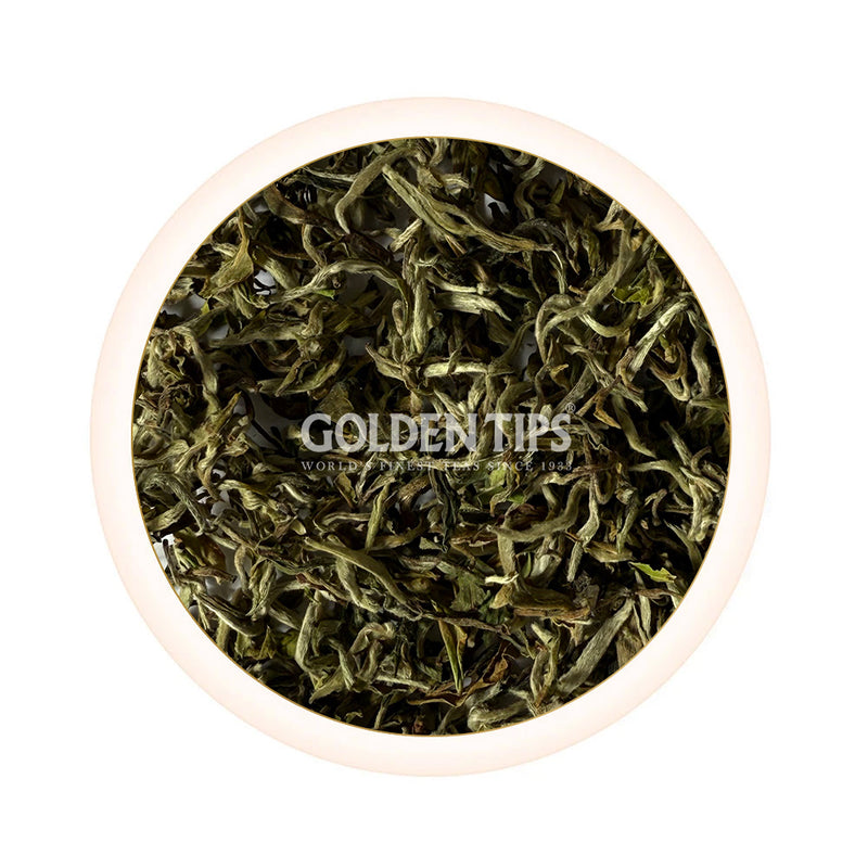 Spring Magnificence Star Darjeeling Black Tea First Flush 2025