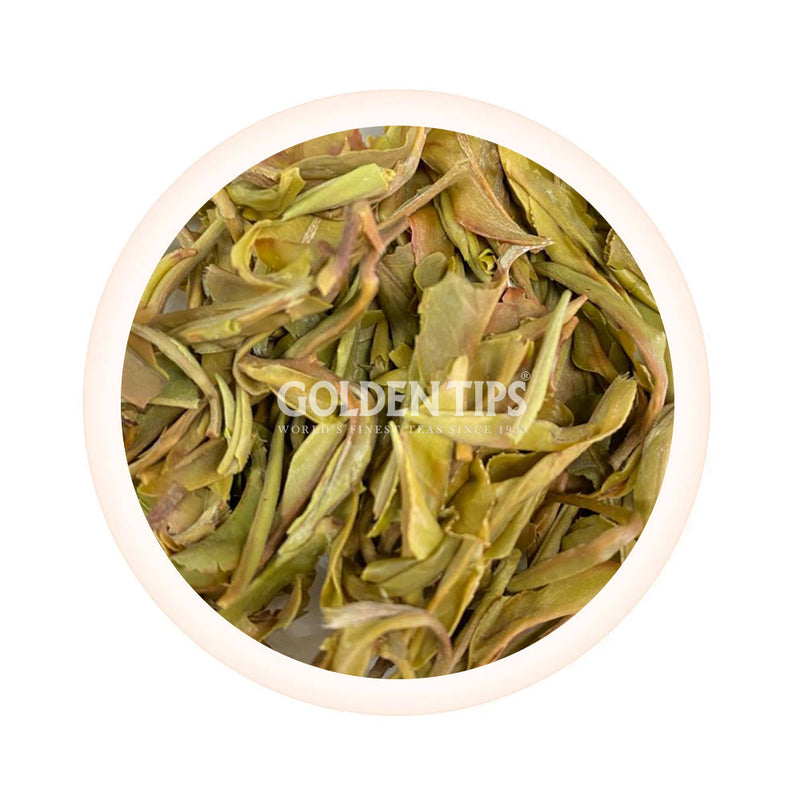 Spring Magnificence Star Darjeeling Black Tea First Flush 2025